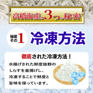 釜揚げ しらす 250g 冷凍 鮮度 産地直送 しらす丼 海鮮 海鮮丼 魚介 魚