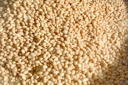 奥出雲の倍糀味噌2kg【味噌 倍糀味噌 みそ ミソ 国産 無添加 調味料 酵素 化学調味料不使用 安心 安全 料理 贈り物 プレゼント ギフト 】