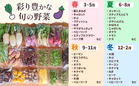 【4回定期便】季節の旬野菜 おまかせセット 6種【配送不可地域あり】 野菜