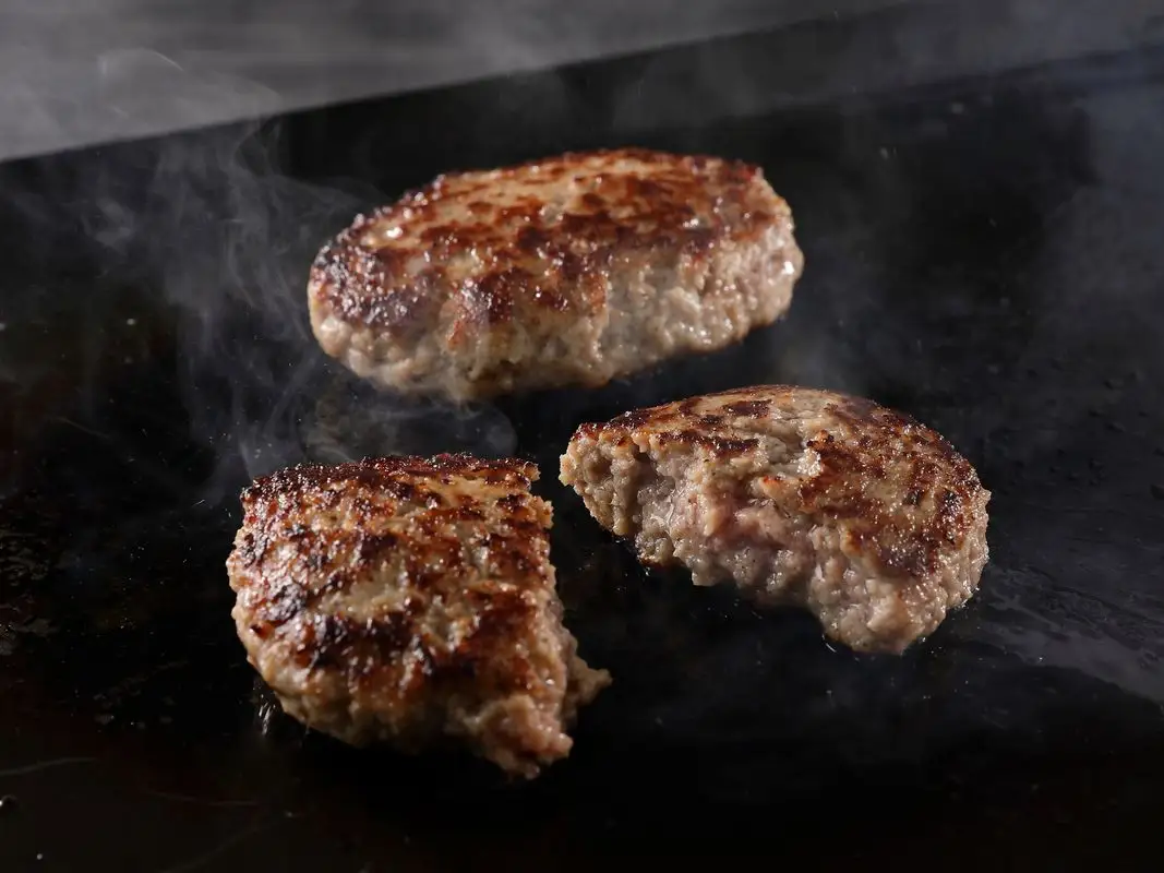 博多和牛手ごね生ハンバーグ(120g×22個)【宗像肉工房】_HA1977