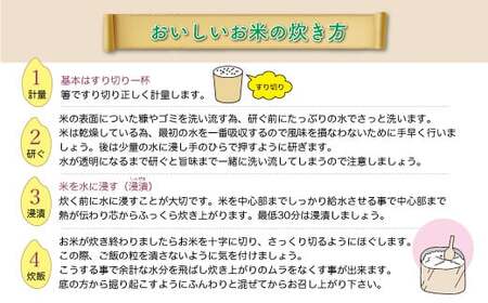 ＜数量限定＞ 令和7年産 雪若丸 【白米】 5kg （5kg×1袋）山形県真室川町　◆NR7Y05M-H9999