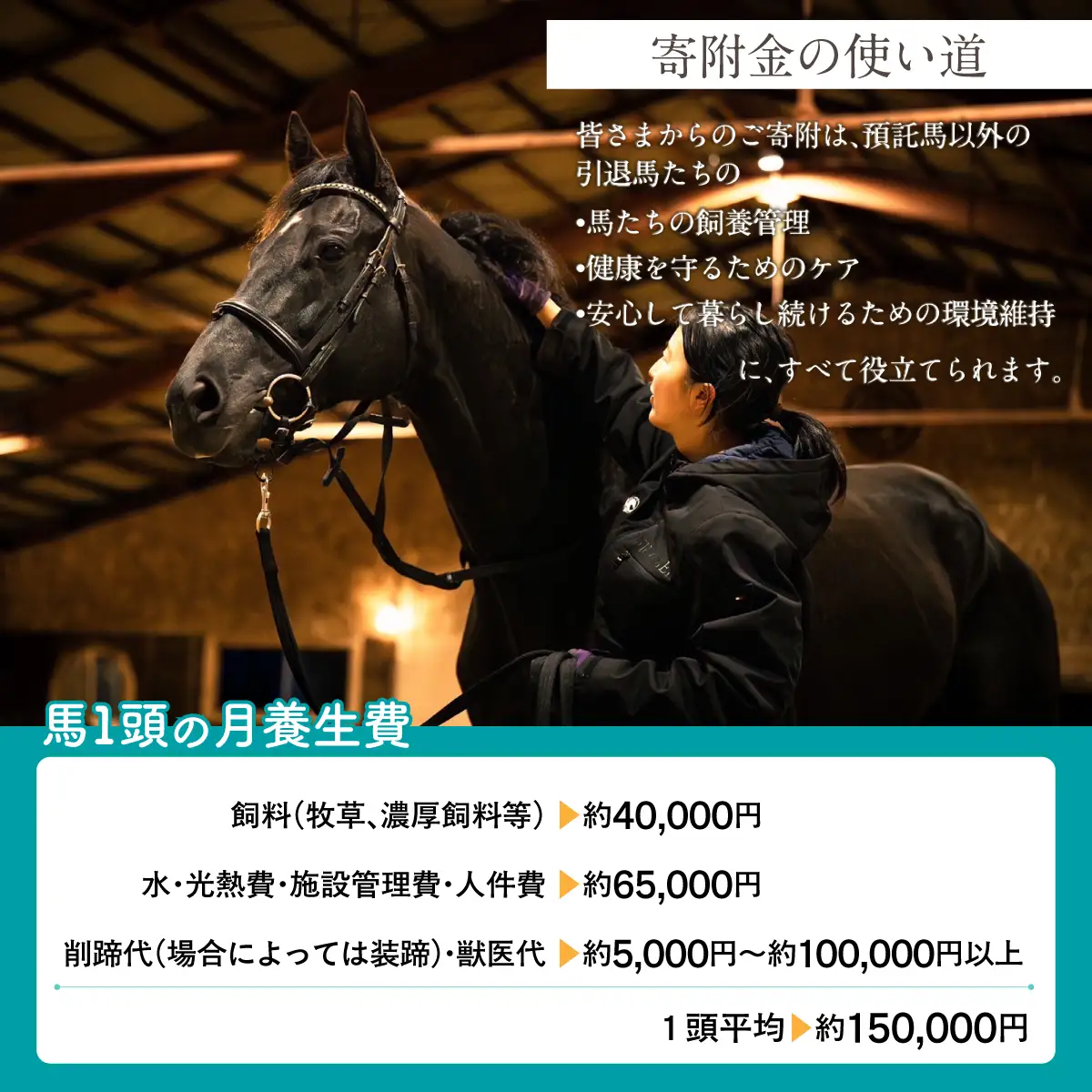 【1億円コース 返礼品無し】より多くの引退馬の幸せな余生を願う　Yogiboヴェルサイユリゾートファーム BRTV024-08