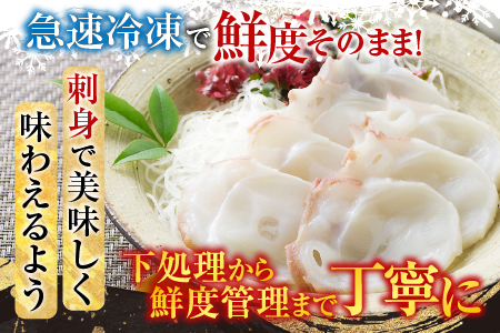 【北海道根室産】お刺身用たこ足2本(計2～2.5kg) C-30069