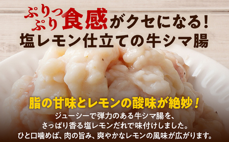 牛肉 ホルモン 2.5kg 牛肉