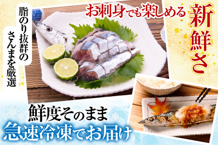 甘塩紅鮭5切×2P、冷凍生さんま5尾×2P A-36017
