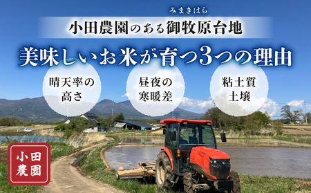 白米8kg（4kg×2袋） 冷めても美味しいコシヒカリ【小田農園】｜最短4〜7日程度でお届け　※着日指定不可