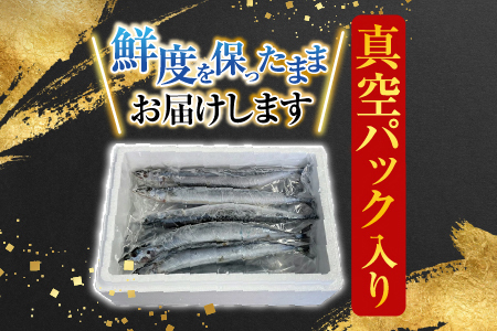 【北海道根室産】冷凍さんま30尾 B-36005