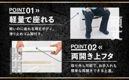 釣具のダイワのクーラーボックス ライトトランクα ZSS3200 （ 容量：32リットル ） クーラーボックス ボックス ダイワ アウトドア レジャー フィッシング 釣り キャンプ バーベキュー