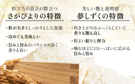 【12回定期便】白米食べ比べ さがびより3kg&夢しずく3kg