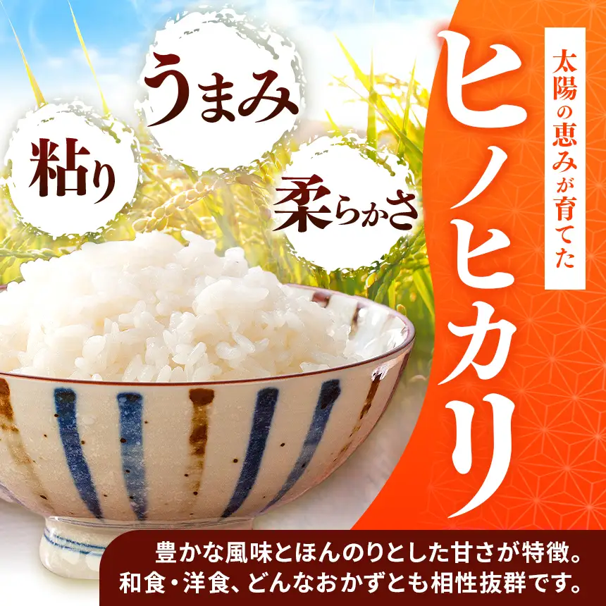 令和7年産 上郡町からのお米食べ比べセット きぬむすめ5kg・ヒノヒカリ5kg | お米 きぬむすめ ヒノヒカリ 食べ比べ 兵庫県 上郡町