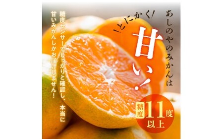 ZE6519_【2026年先行予約】【秀品】和歌山県産　有田みかん 約10kg （S～Ｌサイズ混合）【まごころ手選別】
