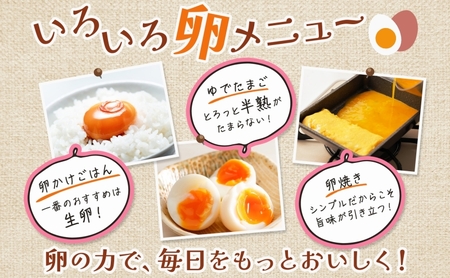 埼玉県蓮田市 平飼い卵 50個入 Mサイズ 玉子 新鮮 濃厚 コク 卵黄 鶏卵 タマゴ ギフト 卵セット 贈り物 プレゼント 食品 食材 朝ごはん 家族 団らん 朝食 昼食 ランチ 贅沢 お弁当