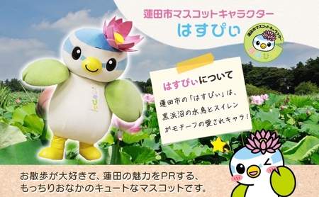 とかいなかNo.1 蓮田市マスコットキャラクターはすぴぃ グッズセット パペット ステンレスクリップ マスコット キャラクター はすぴぃ ぬいぐるみ グッズ お子様 プレゼント 雑貨 癒し ぬいぐるみ スイレン はすだ観光協会 埼玉県 蓮田市