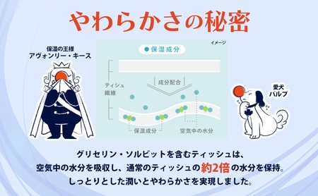 定期便 隔月2回 保湿ペーパー アヴォンリーキース ボックスティッシュ 10箱 河野製紙 ティッシュ ペーパー ちり紙 やわらかい まとめ買い 備蓄 日用品 常備品 消耗品 大容量 防災 花粉症 鼻炎 埼玉県 蓮田市
