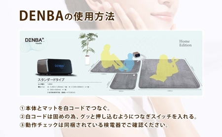 DENBA Health Standard マット 2枚同時に接続 同時に2名使用 マット 敷くだけ 睡眠時 スリープテック 睡眠 快眠 電場 家庭用 機器 電子機器 水分子ケア ケア 鮮度保持技術 簡単 有名アスリート 著名経営者 送料無料 埼玉県 蓮田市