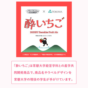 【ジャパン・グレートビア・アワーズ2026 銀賞受賞】【数量限定】【ぬりや】クラフトビール　酔いちご（2025BY）330ml3本セット(GW-13)