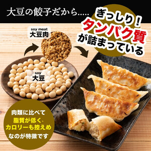 大豆パワー ソイプロギョーザ 90個(30個入×3袋)