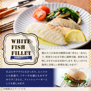 【0125605a】東串良町近海で獲れた白身魚の切り身(8枚・計480g以上) 魚 切り身 白身魚 切身 料理 おかず ご飯 天ぷら フライ ソテー ムニエル 鍋 骨なし 皮なし 【プリモピアット】