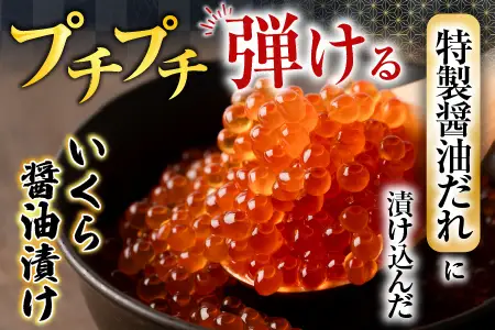 いくら醤油漬け100g×1P、紅鮭切身5切×2P A-70028