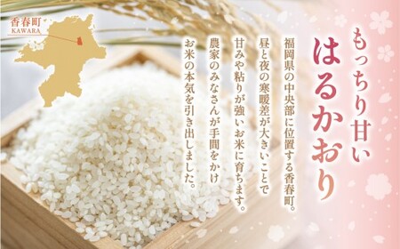 【1ヶ月毎5回定期便】 はるかおり 5kg 計25kg ／ 米 コメ お米 ライス ご飯 ごはん 飯 食品 精米 定期便 常温 福岡県 香春町