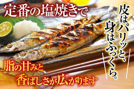 【北海道根室産】冷凍さんま40尾 C-70002