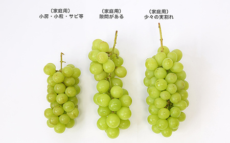 【先行予約（令和8年発送）】 山形県産 ご家庭用 訳ありシャインマスカット 1kg FSY-2802