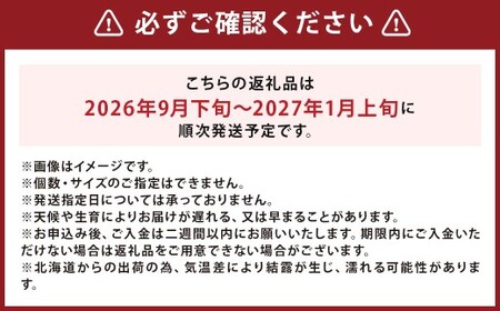 北海道産 じゃがいも キタアカリ M～2Lサイズ混載 約5kg 1箱 山田農場 ジャガイモ 芋 いも イモ 国産 【2026年9月下旬-2027年1月上旬迄発送予定】