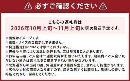 北海道産 かぼちゃ （ブラックのジョー） 約5kg ・ 北海道産かぼちゃ （雪化粧） 約5kgセット 山田農場 南瓜 カボチャ 冬至用かぼちゃ 野菜 やさい 北海道 京極町 常温 【2026年10月上旬-11月上旬迄発送予定】