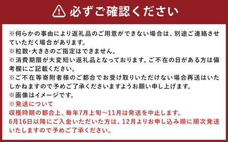 【 7月～11月発送不可 】 ミディトマト はなひめ 3kg 中玉 トマト 福岡県産