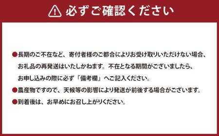 熊本県産 持丸ミカン 約3キロ 【2026年11月下旬発送開始】 蜜柑 みかん ミカン 柑橘 フルーツ くだもの 果物 国産