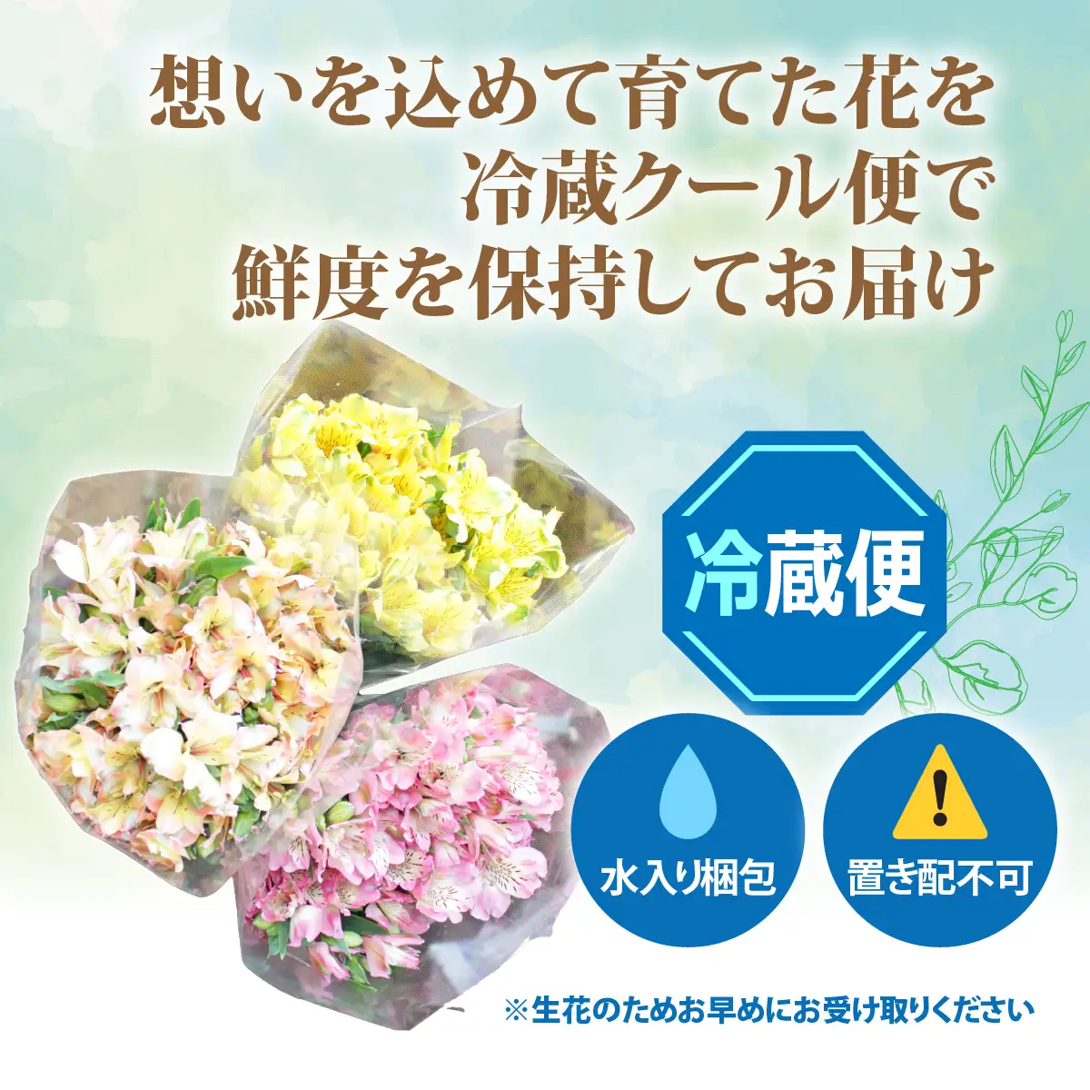 アルストロメリアの花束(30本) NABL001
