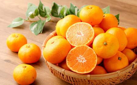 熊本県産みかん BUSAIKU MIKAN 7kg 【2026年10月上旬発送開始】 フルーツ 果物 くだもの みかん 蜜柑 柑橘