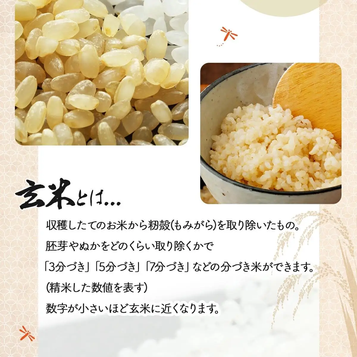 《令和7年産！》『100%自家生産玄米』善生さんの自慢の米 玄米ゆめぴりか10kg※一括発送 a104-118