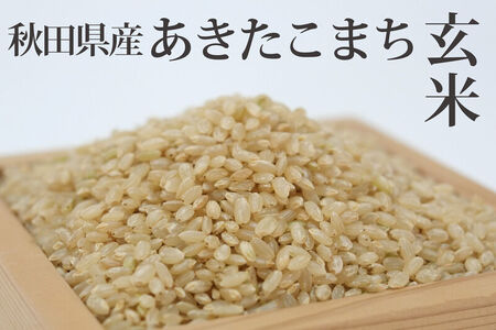 《令和8年産  新米先行受付》《定期便2ヶ月》秋田県産 あきたこまち 10kg(10kg×1袋)×2回【玄米】計20kg [新米 あきたこまち 10kg 秋田県産 米 秋田県産 国産]