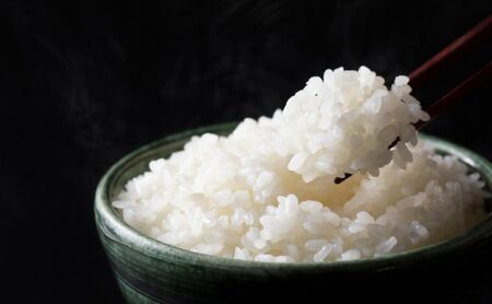 北本農場 こだわりのお米 令和7年産 石川県 にこまる米 白米10kg