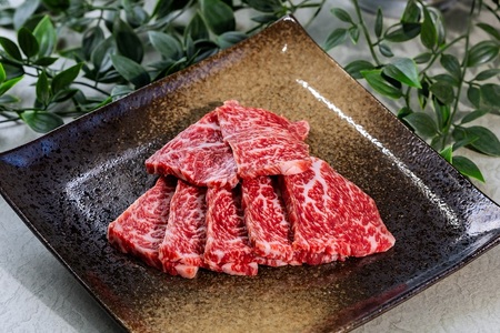 0020-110-01 富士山竹川牛 サーロインミニステーキ 100g & ヒレ 120g×1枚 & リブロース焼肉 200g