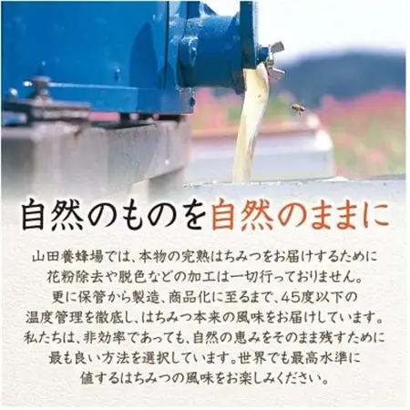 クローバー蜂蜜(ニュージーランド産)300g (03501)【1690264】