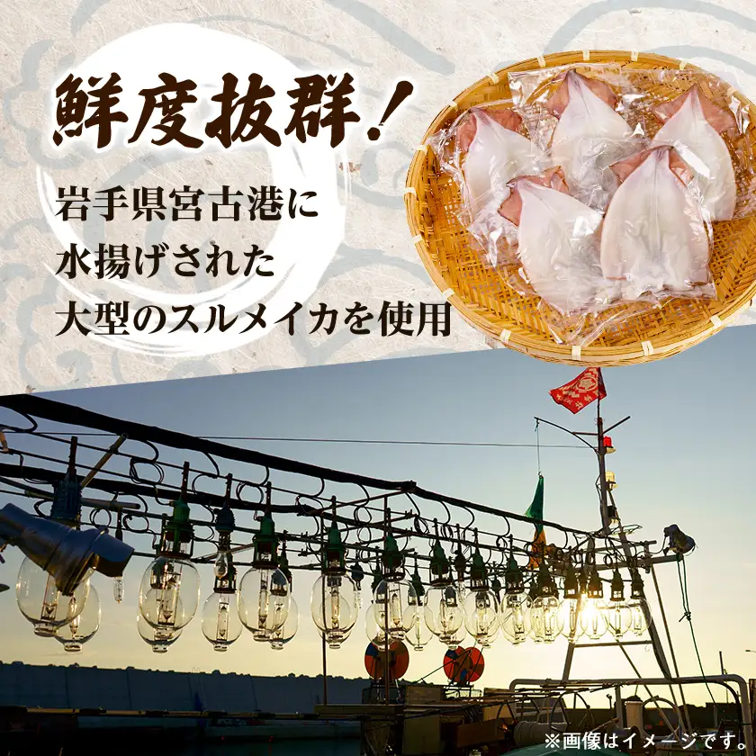 【訳あり】岩手県宮古市産スルメイカの一夜干し　1kg【配送不可地域：離島】【1710689】