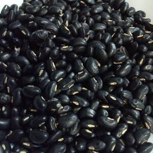 大潟村産のもち米と天甲(てんこう)小豆で作る!赤飯セット【1682000】