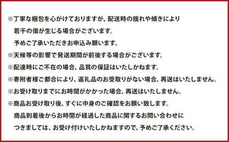 熊本県産 ハウスデコポン 約2kg（7～9個） 柑橘 みかん 蜜柑 デコポン【2026年12月下旬発送開始】