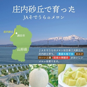 SZ0323　アンデスメロン　約3kg(青肉/2玉入/つる付き)