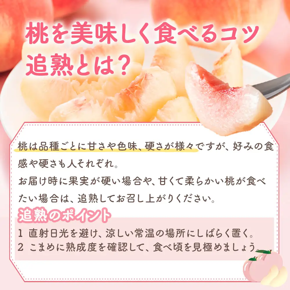 ＜先行予約＞【品種おまかせ】鹿沼市産 もも 2Lサイズ（2kg） ｜ 桃 モモ もも 栃木県 果物 くだもの フルーツ あかつき まどか あこや 新鮮 贈答 ギフト ※2026年7月下旬～8月中旬頃に順次発送予定 ※北海道・沖縄・離島への配送不可