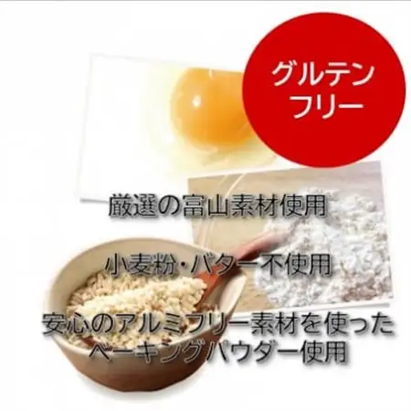 【グルテンフリー】焼き菓子セット10個入 高道フィナンシェ -よいもの富山- ＆ふわしとショコラ【1704853】