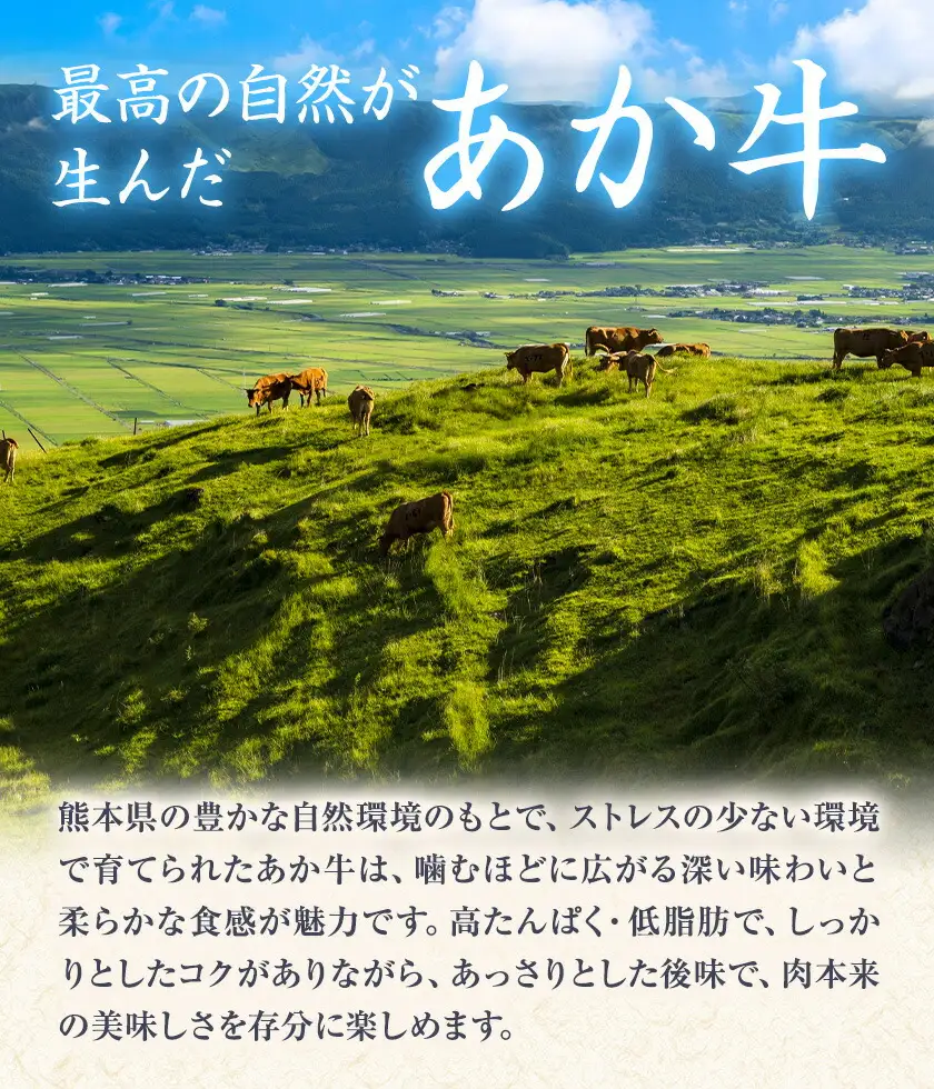 GI認証取得 くまもとあか牛 焼肉用 切り落とし 300g×2パック 合計600g あか牛 切落し 牛肉 肉 国産 九州産 熊本県産 冷凍《30日以内に出荷(土日祝除く)》