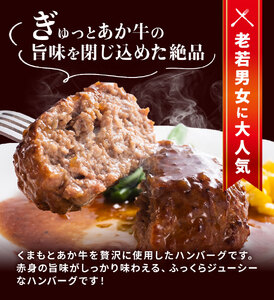 GI認証取得 くまもとあか牛100％使用 くまもとあか牛ハンバーグ 150g×20パック あか牛 ハンバーグ 牛肉 肉 国産 九州産 熊本県産 冷凍《30日以内に出荷(土日祝除く)》