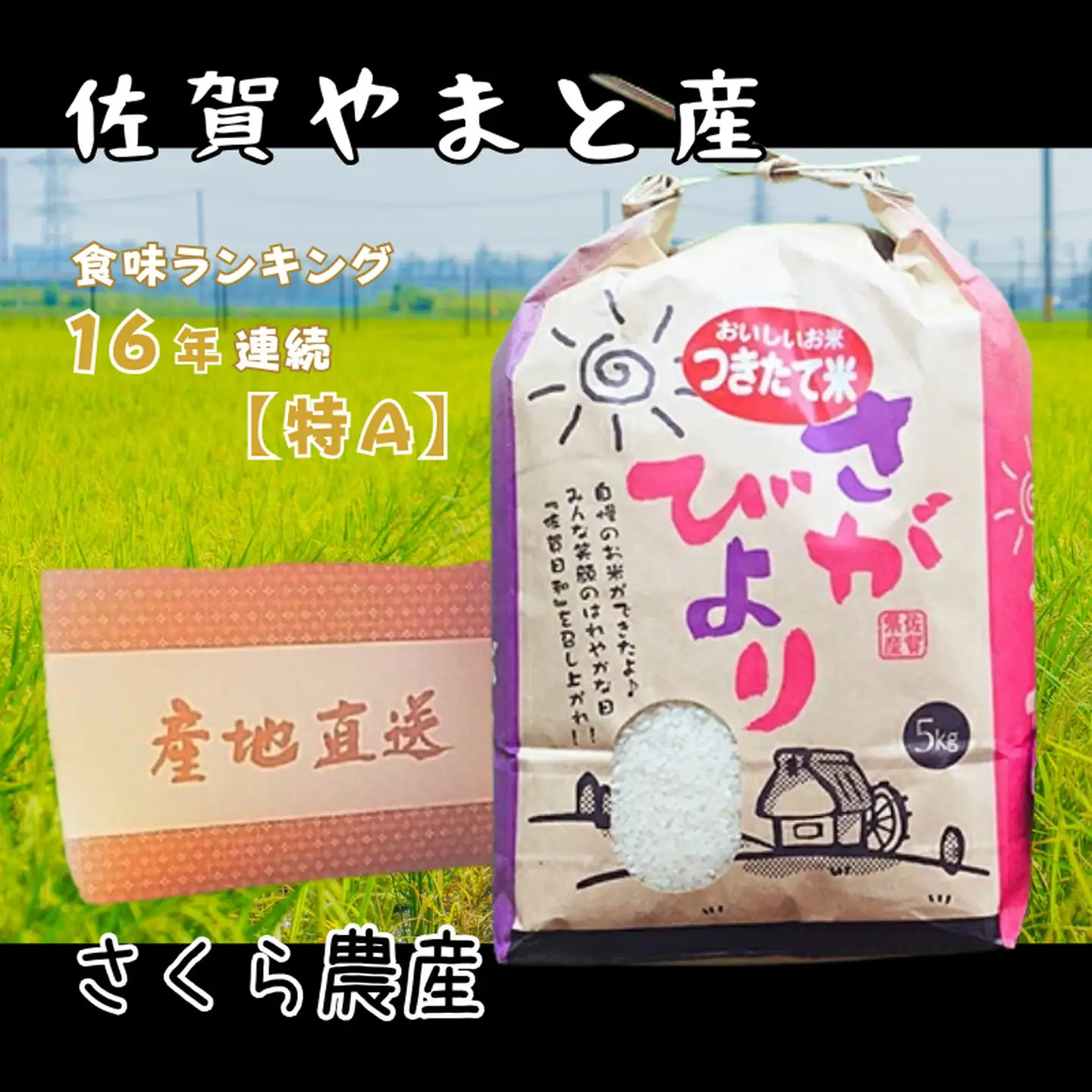 佐賀県大和産「さがびより」5kg 米 農家直送：B170-033