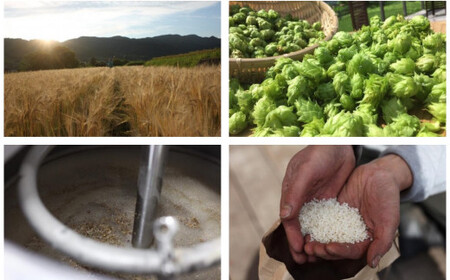 0066-47-01 フジヤマハンターズビール おまかせビール 350ml缶×24本セット