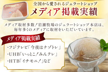 テレビで紹介！ アイス ジェラート チョコココア 1L ファミリーサイズ ジャンボサイズ [岩瀬牧場 北海道 砂川市 12260966]