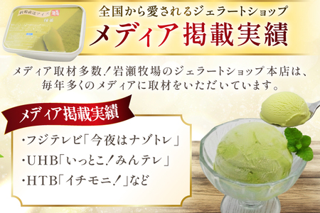 テレビで紹介！ アイス ジェラート 抹茶 1L ファミリーサイズ ジャンボサイズ [岩瀬牧場 北海道 砂川市 12260965]