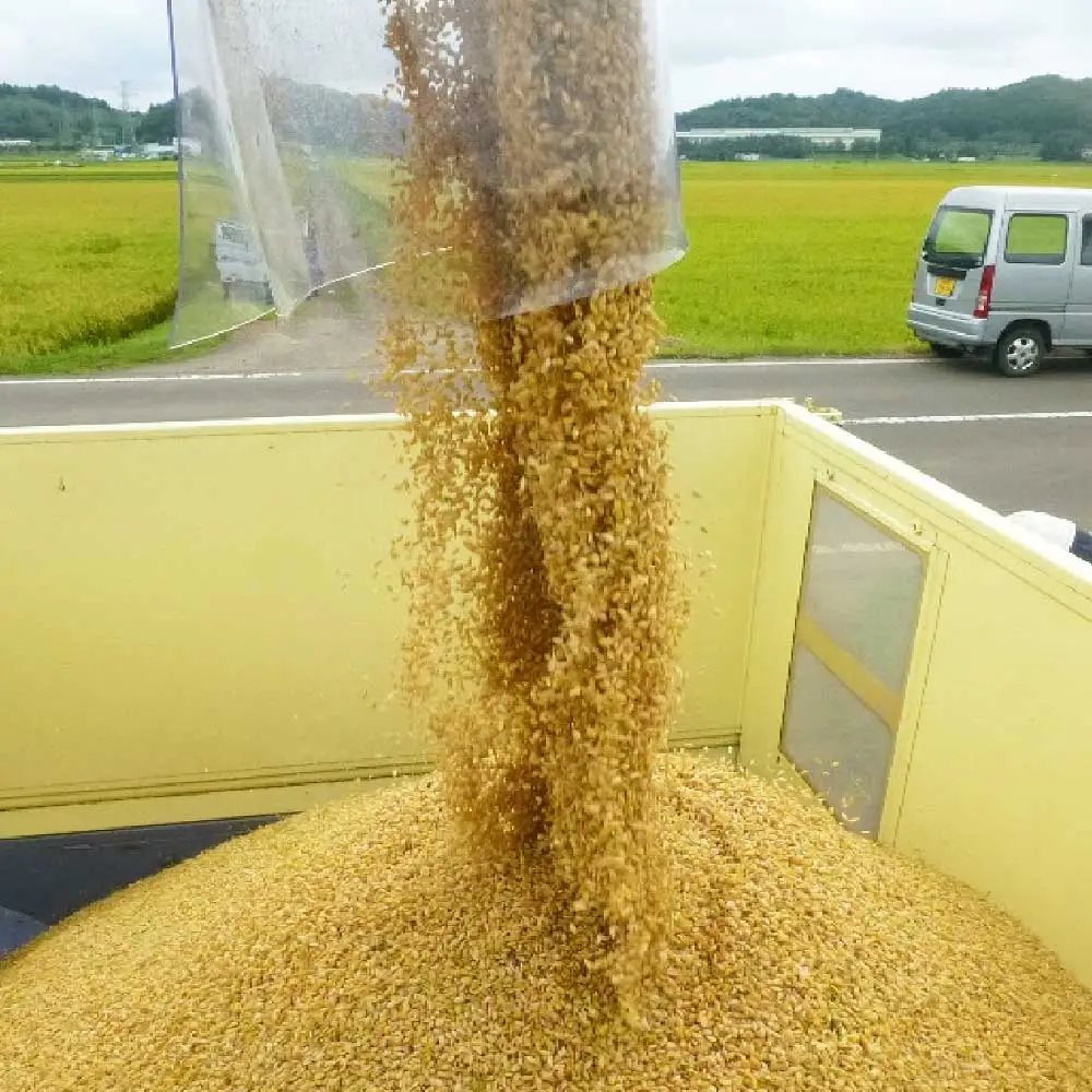 【10か月定期便】＜令和7年産米＞蔵王源流米ひとめぼれ5kg×10回（全50kg）　【04301-0164】
